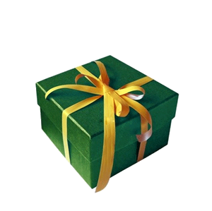 pacco-regalo2